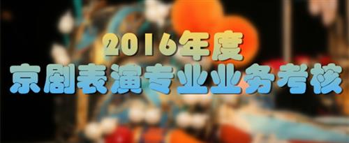 操bb入口国家京剧院2016年度京剧表演专业业务考...